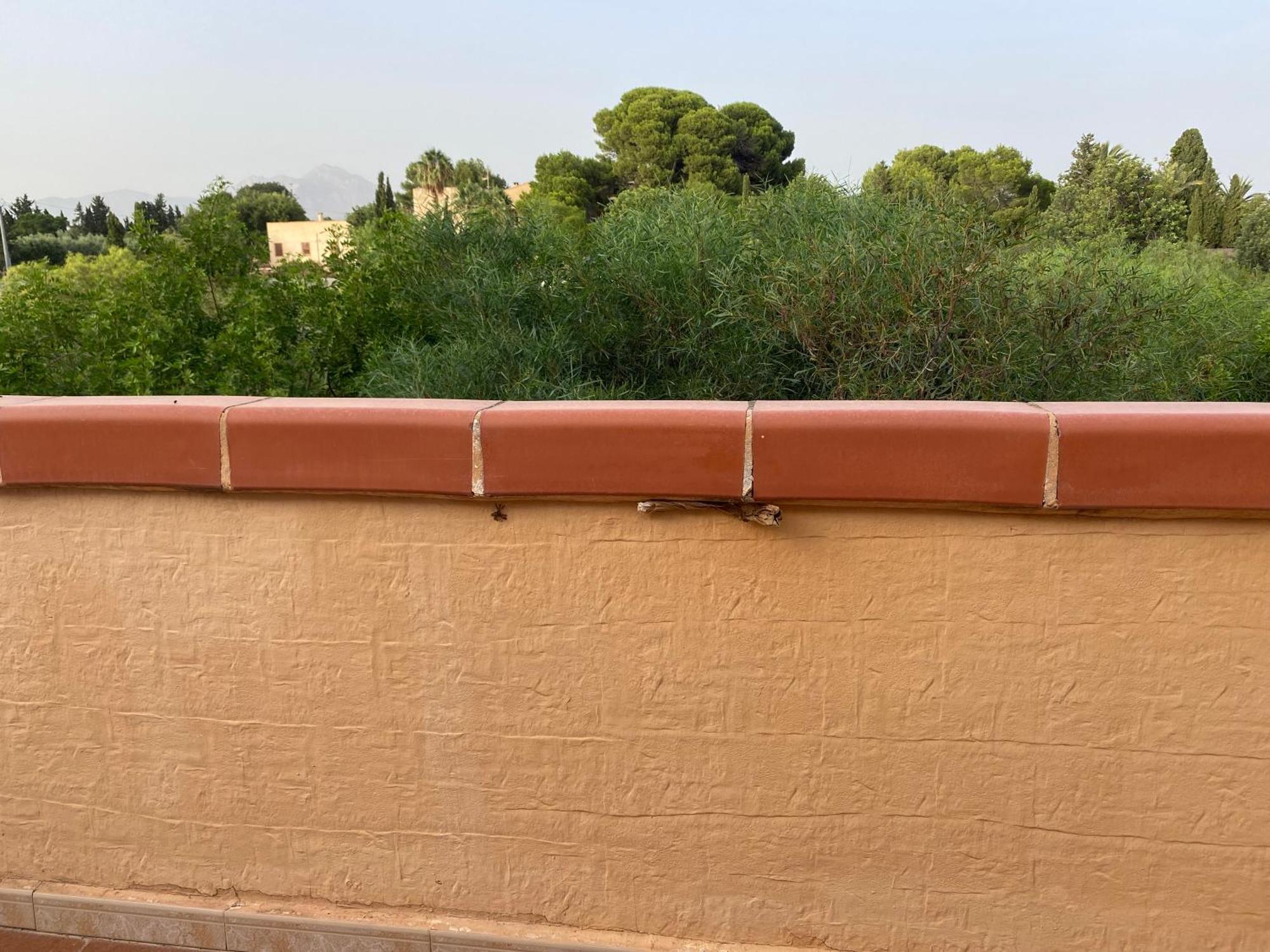 Casa En La Huerta De Mutxamel Villa Dış mekan fotoğraf