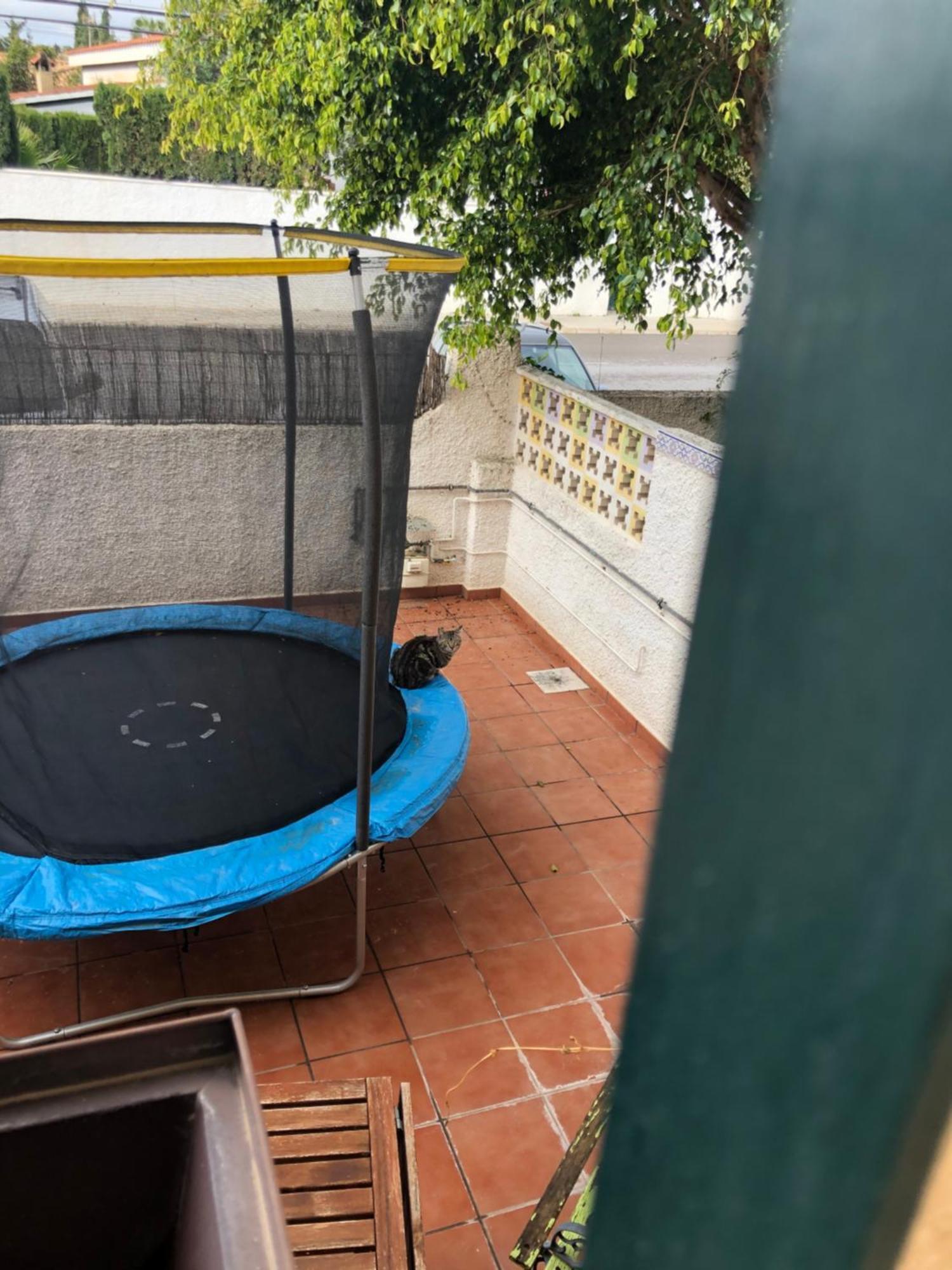 Casa En La Huerta De Mutxamel Villa Dış mekan fotoğraf